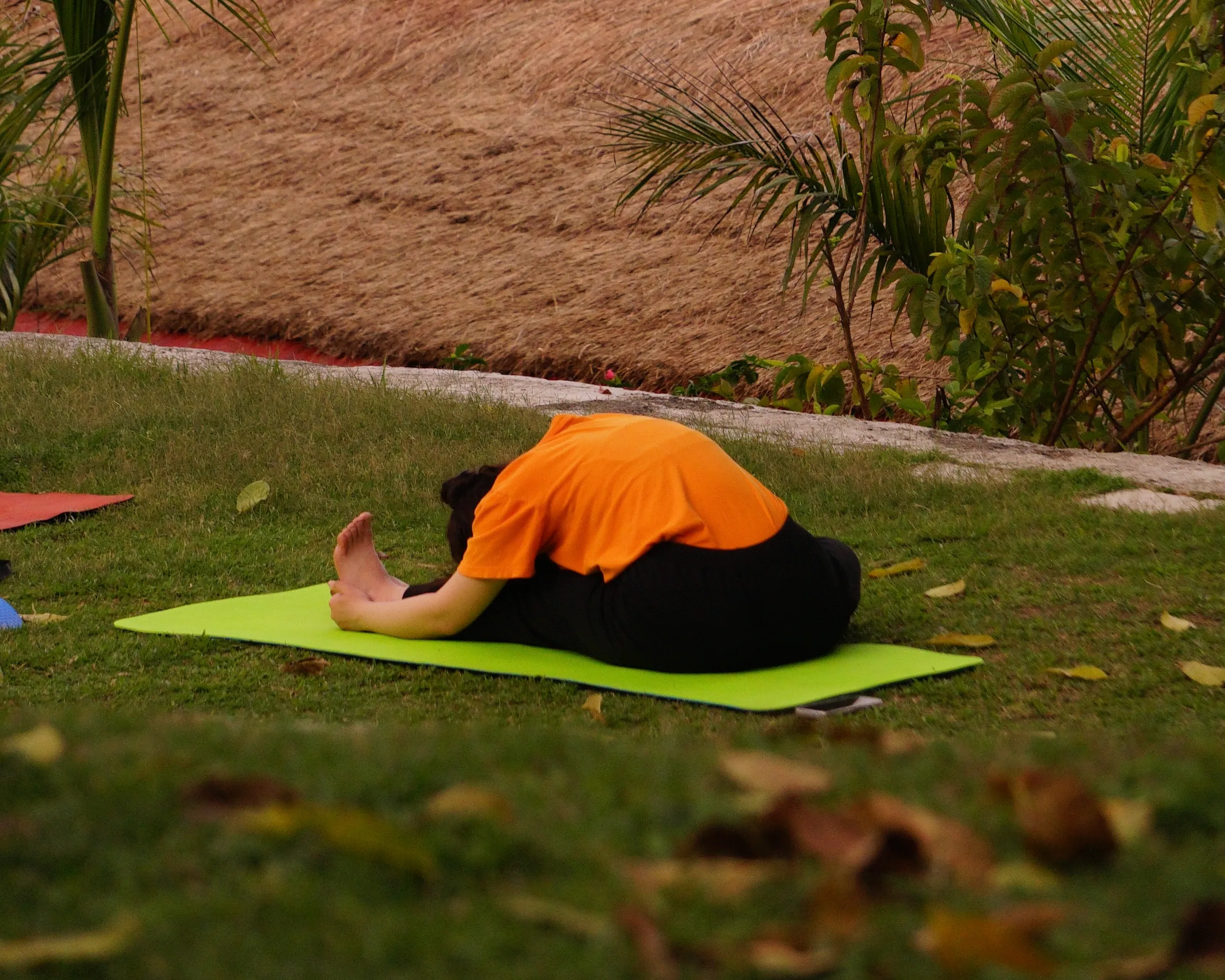 Yoga Teacher